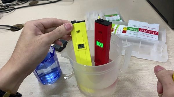 Quan sát biểu hiện bên ngoài và hiệu suất sử dụng