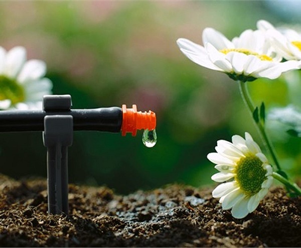 Định nghĩa độ ẩm đất và cách đo chuẩn trong canh tác