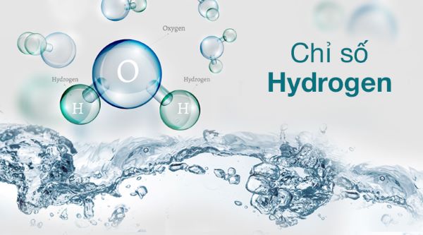 Hydrogen phân tử (H2) hòa tan trong nước có khả năng chống oxy hóa mạnh