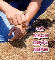Cách tìm mạch nước ngầm chính xác nhất 2026