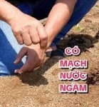 Cách tìm mạch nước ngầm chính xác nhất 2026