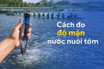 Độ mặn ao nuôi tôm bao nhiêu là tốt nhất?