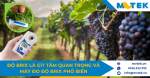Độ Brix là gì? Tầm quan trọng và máy đo độ Brix phổ biến