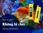 Độ pH nước nuôi cá cảnh