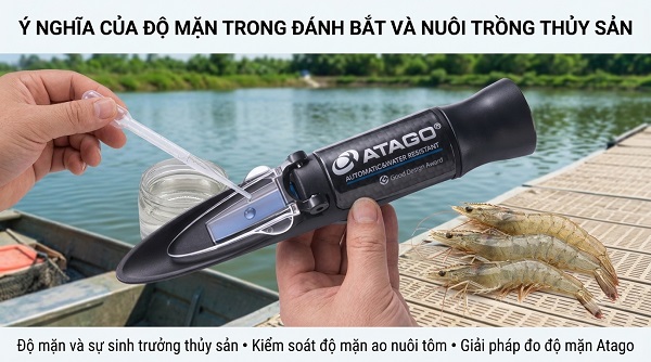 Ý nghĩa của độ mặn trong đánh bắt và nuôi trồng thủy sản
