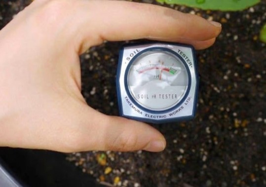 Lỗi phổ biến và cách khắc phục 