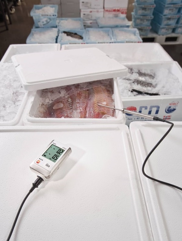 Bộ ghi dữ liệu nhiệt độ Testo 175T2