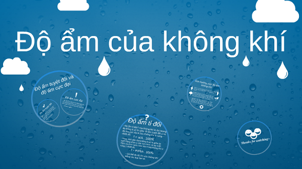Độ ẩm là yếu tố quan trọng ảnh hưởng trực tiếp đến môi trường