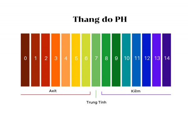 Thang đo pH thông dụng