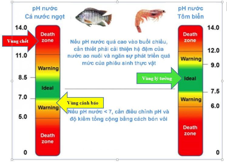 Biện Pháp Ổn Định pH Trong Ao