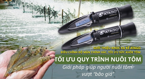 Vai trò của độ mặn đối với ao nuôi tôm