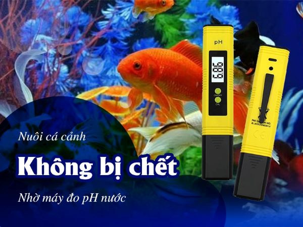 Độ pH nước nuôi cá cảnh