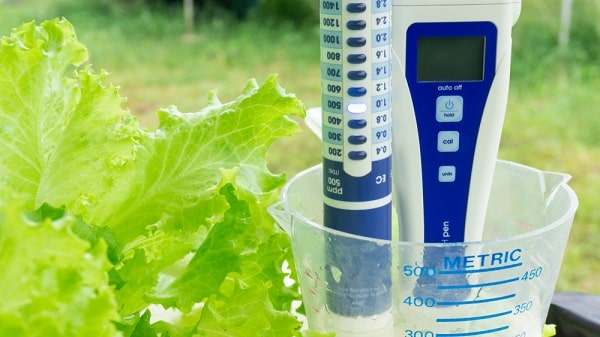 Giải đáp về bút đo hydrogen từ chuyên gia MVTEK